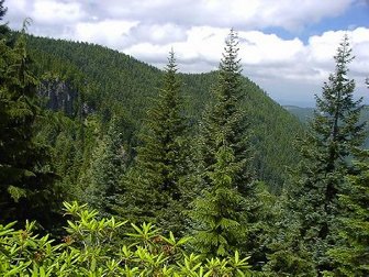 View along the Old Baldy trail