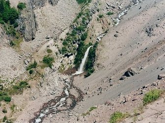 One of many waterfalls seen from the Paradise Park trail