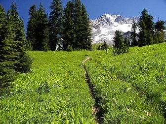 The trail up Zig Zag Canyon Ridge to Paradise Park