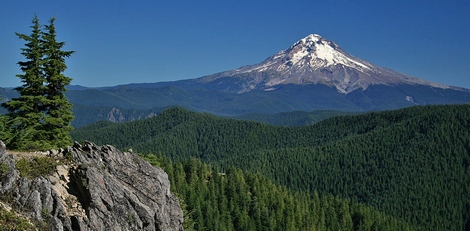 Mt. Hood as seen from the summit of Tumala Mountain