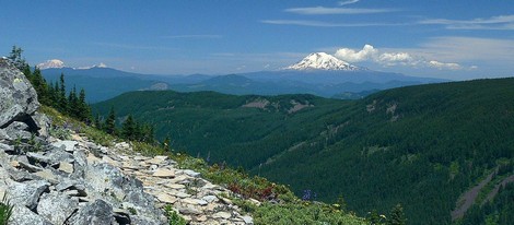 Mt. Rainier and Mt. Adams as seen from the Tomlike Mountain Trail