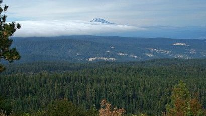 Looking north toward Mt. Adams from Five Mile Butte